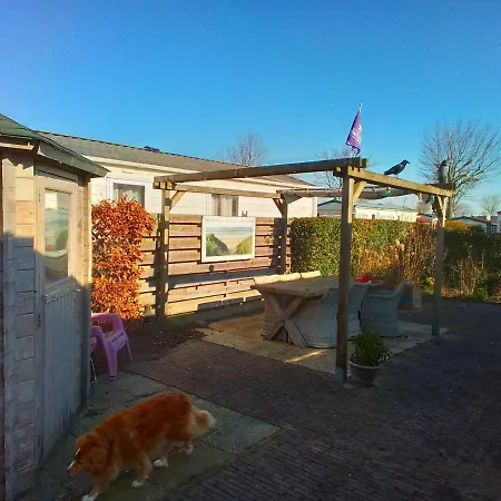 Chalet Burghorn Chalet Schagen